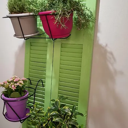Apartment Oasis *